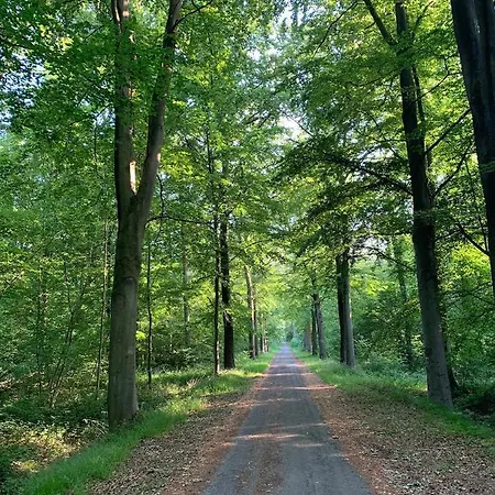 De La Foret * Saint-Amand-les-Eaux